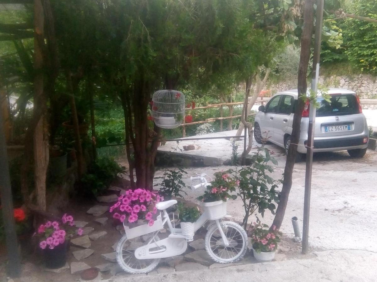 Bed and Breakfast Amaa Casa Вико-Экуенсе Экстерьер фото